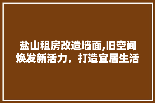 盐山租房改造墙面,旧空间焕发新活力，打造宜居生活环境