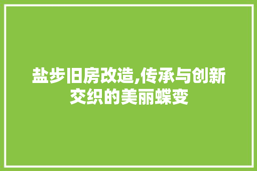 盐步旧房改造,传承与创新交织的美丽蝶变