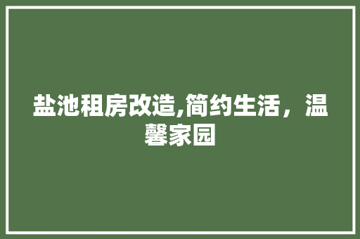 盐池租房改造,简约生活，温馨家园