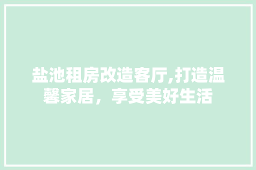盐池租房改造客厅,打造温馨家居，享受美好生活