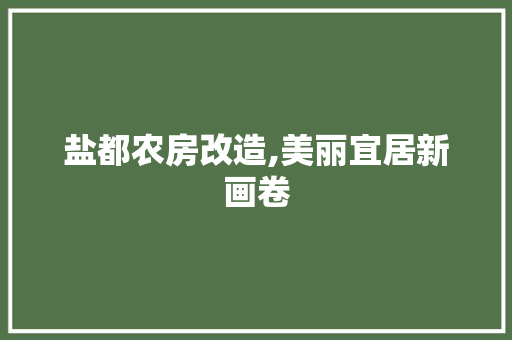 盐都农房改造,美丽宜居新画卷