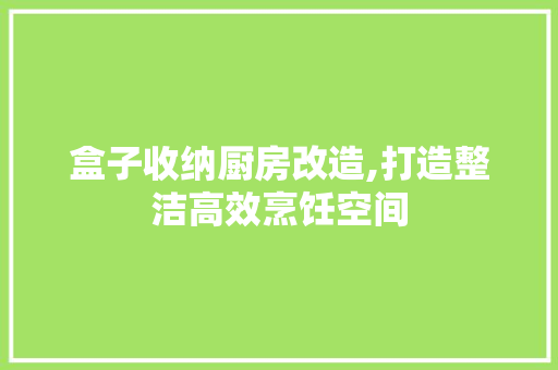 盒子收纳厨房改造,打造整洁高效烹饪空间