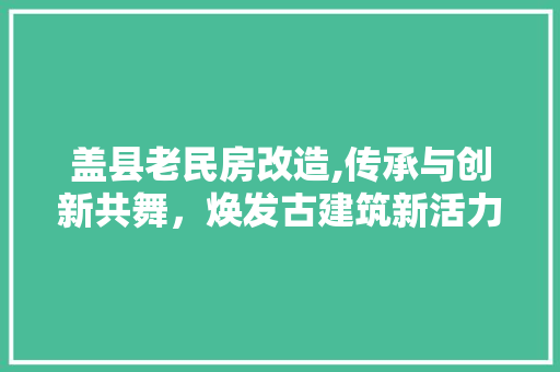 盖县老民房改造,传承与创新共舞，焕发古建筑新活力