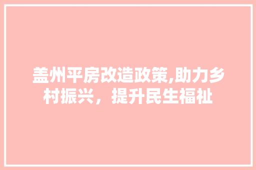 盖州平房改造政策,助力乡村振兴，提升民生福祉 厨房维修