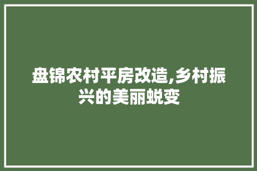 盘锦农村平房改造,乡村振兴的美丽蜕变 汽车维修