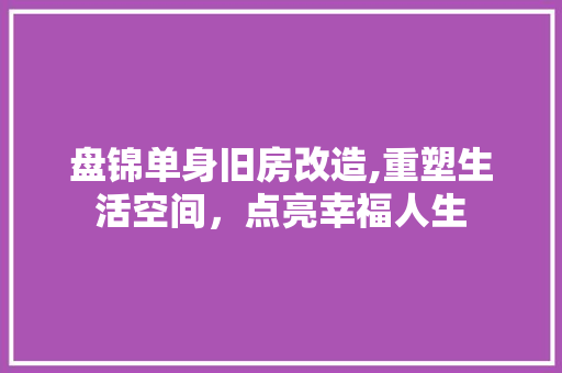 盘锦单身旧房改造,重塑生活空间，点亮幸福人生