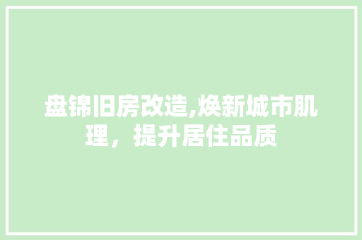 盘锦旧房改造,焕新城市肌理，提升居住品质 厨房维修
