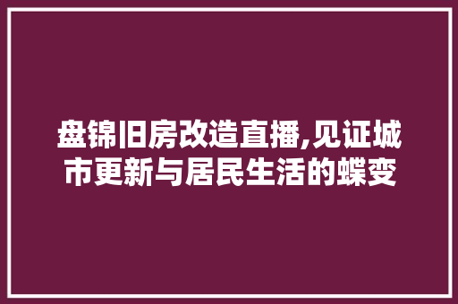 盘锦旧房改造直播,见证城市更新与居民生活的蝶变 厨房维修