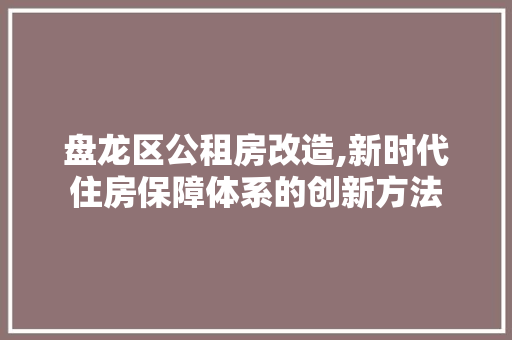 盘龙区公租房改造,新时代住房保障体系的创新方法 厨房维修