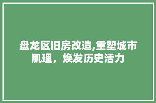 盘龙区旧房改造,重塑城市肌理，焕发历史活力