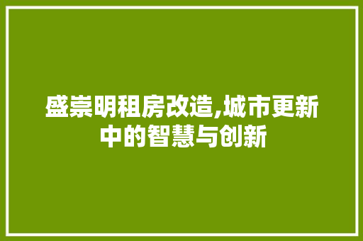 盛崇明租房改造,城市更新中的智慧与创新