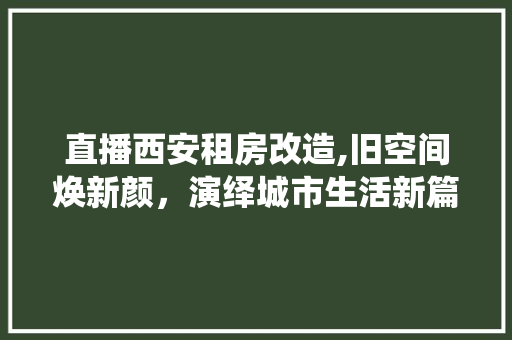 直播西安租房改造,旧空间焕新颜，演绎城市生活新篇章