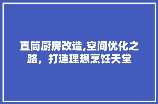 直筒厨房改造,空间优化之路，打造理想烹饪天堂