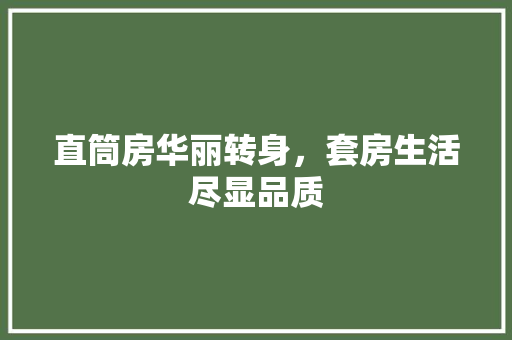 直筒房华丽转身，套房生活尽显品质