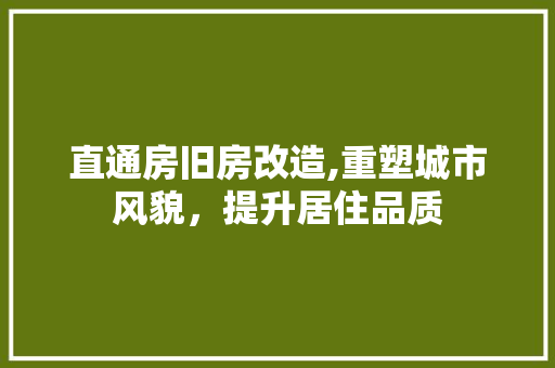 直通房旧房改造,重塑城市风貌，提升居住品质