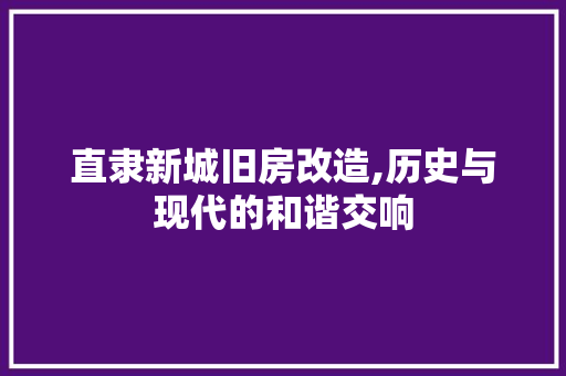 直隶新城旧房改造,历史与现代的和谐交响
