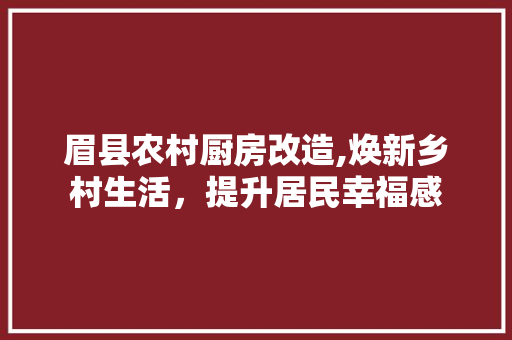 眉县农村厨房改造,焕新乡村生活，提升居民幸福感