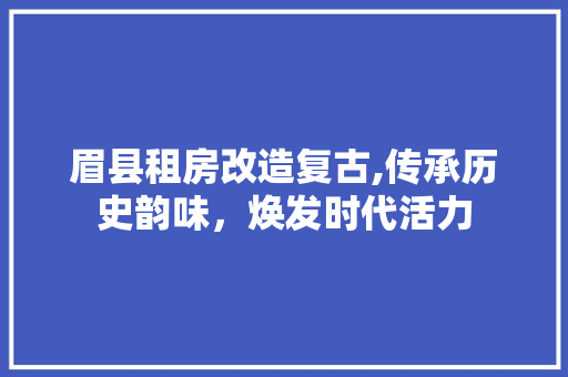眉县租房改造复古,传承历史韵味，焕发时代活力