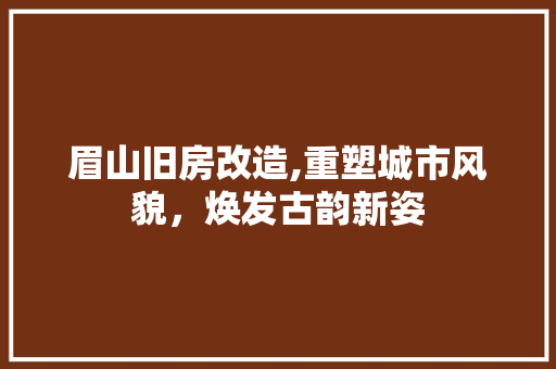 眉山旧房改造,重塑城市风貌，焕发古韵新姿 综合便民