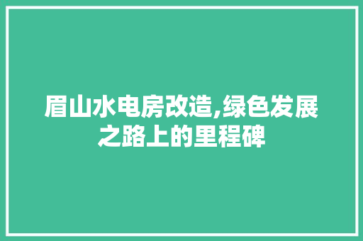 眉山水电房改造,绿色发展之路上的里程碑 家电维修