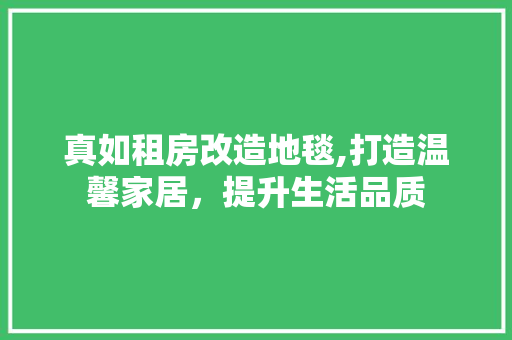 真如租房改造地毯,打造温馨家居，提升生活品质 家电维修