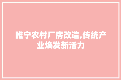 睢宁农村厂房改造,传统产业焕发新活力