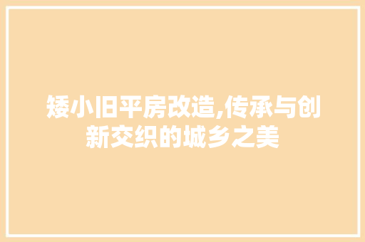 矮小旧平房改造,传承与创新交织的城乡之美