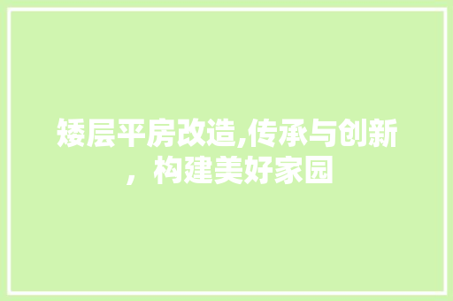 矮层平房改造,传承与创新，构建美好家园