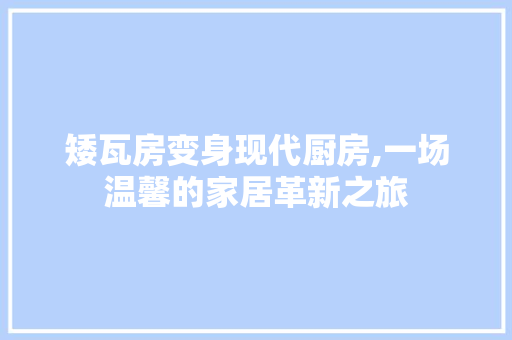 矮瓦房变身现代厨房,一场温馨的家居革新之旅