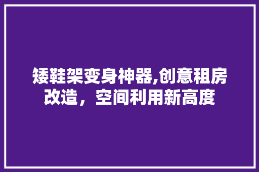 矮鞋架变身神器,创意租房改造，空间利用新高度