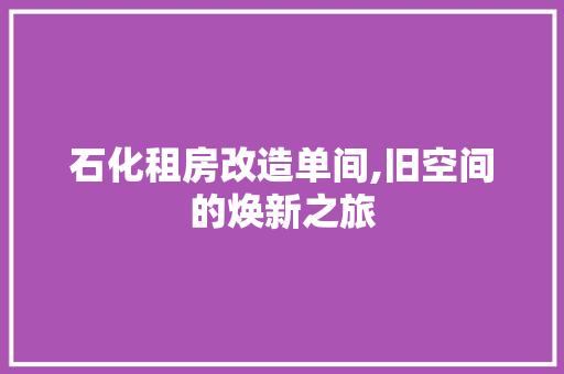 石化租房改造单间,旧空间的焕新之旅