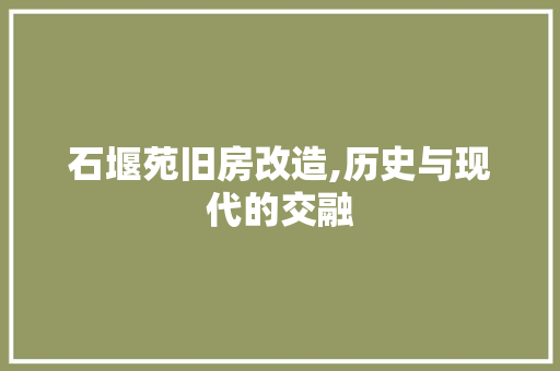 石堰苑旧房改造,历史与现代的交融