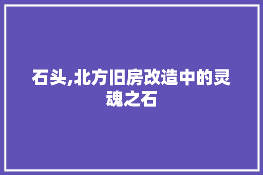 石头,北方旧房改造中的灵魂之石