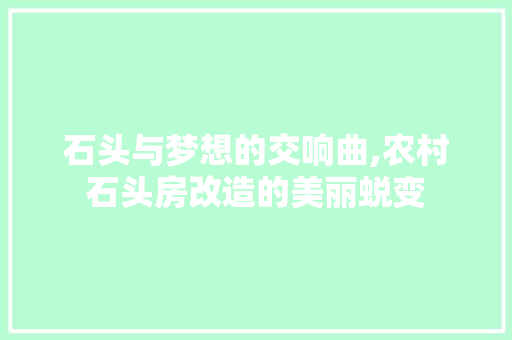 石头与梦想的交响曲,农村石头房改造的美丽蜕变