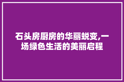 石头房厨房的华丽蜕变,一场绿色生活的美丽启程