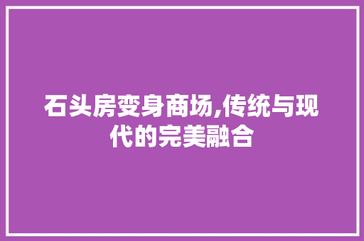 石头房变身商场,传统与现代的完美融合
