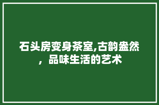 石头房变身茶室,古韵盎然，品味生活的艺术
