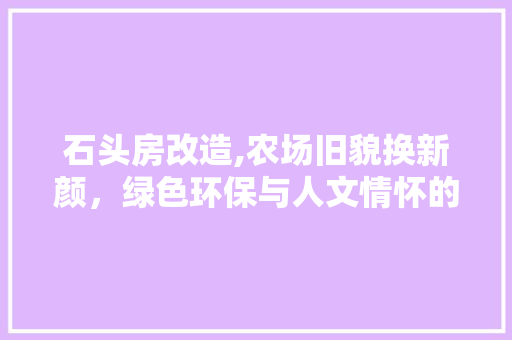 石头房改造,农场旧貌换新颜，绿色环保与人文情怀的完美融合
