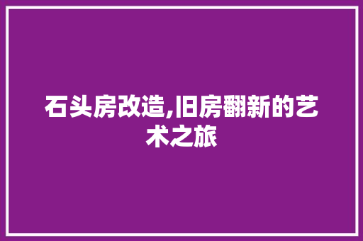石头房改造,旧房翻新的艺术之旅 汽车维修