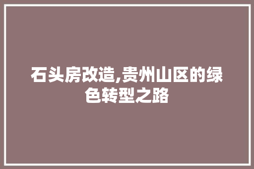 石头房改造,贵州山区的绿色转型之路