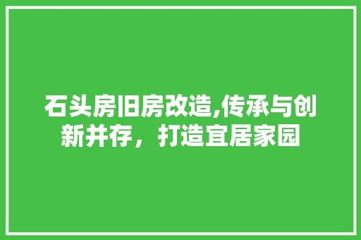 石头房旧房改造,传承与创新并存，打造宜居家园