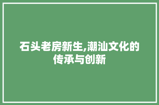 石头老房新生,潮汕文化的传承与创新