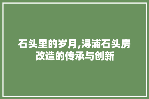 石头里的岁月,浔浦石头房改造的传承与创新