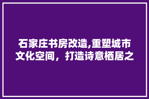 石家庄书房改造,重塑城市文化空间，打造诗意栖居之所