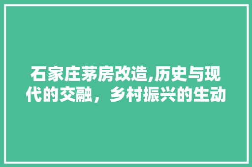 石家庄茅房改造,历史与现代的交融，乡村振兴的生动方法