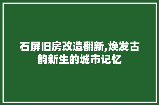 石屏旧房改造翻新,焕发古韵新生的城市记忆