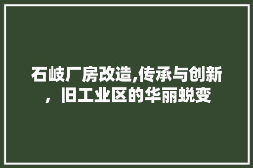 石岐厂房改造,传承与创新，旧工业区的华丽蜕变