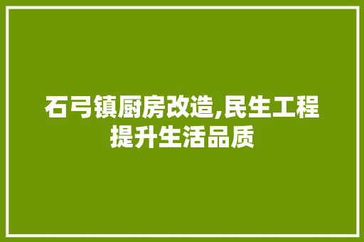 石弓镇厨房改造,民生工程提升生活品质