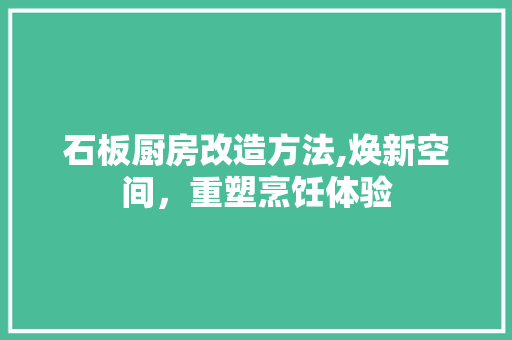 石板厨房改造方法,焕新空间，重塑烹饪体验