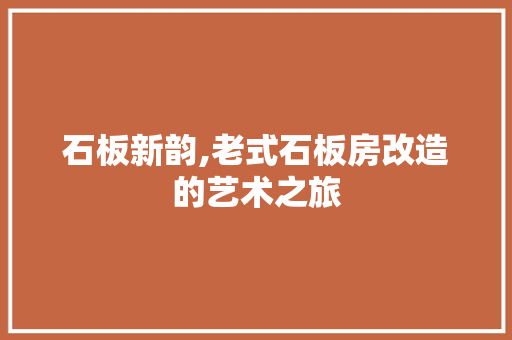 石板新韵,老式石板房改造的艺术之旅